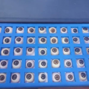 Artificial Eyes Implants