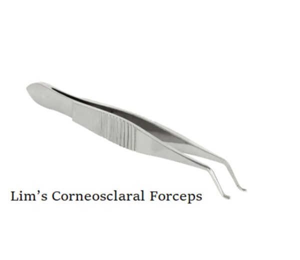 Silver Flexible Forceps